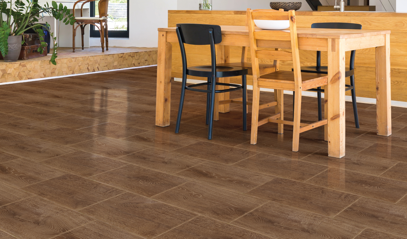 30X60 SAPELI BROWN BRILLO CJ 1.98 M2